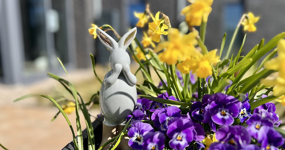 Ostern in der Küstenperle