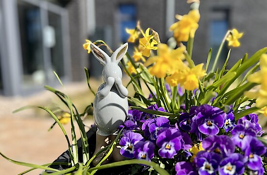 Ostern in der Küstenperle